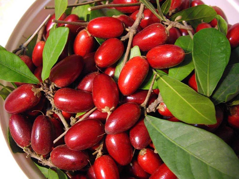 Buah Ajaib