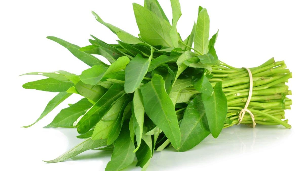 Kandungan Kangkung