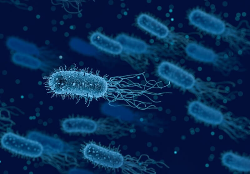 Listeriosis