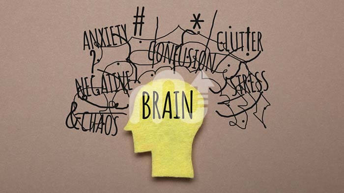 Attention Deficit Hyperactivity Disorder (ADHD)