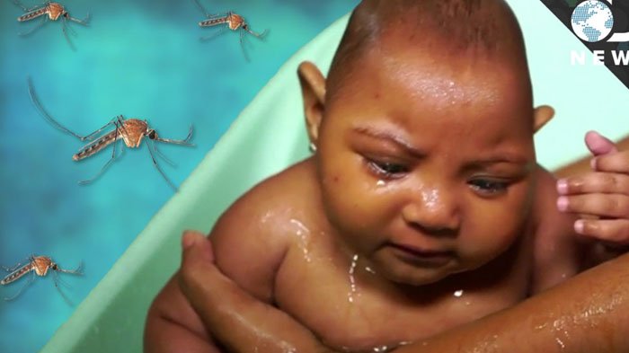 Virus Zika