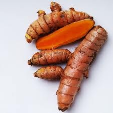 Kunyit (Curcuma longa L.)