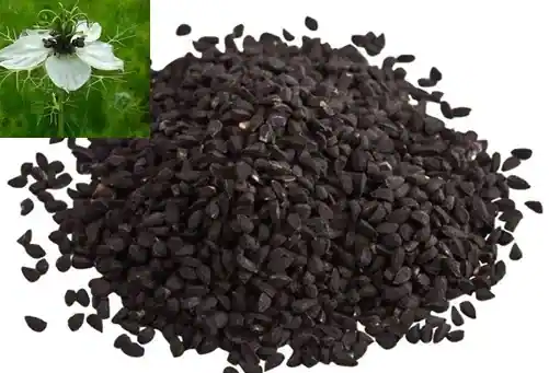 Habbatussauda (Nigella Sativa)